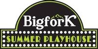 Big Fork Summer Playhouse coupons